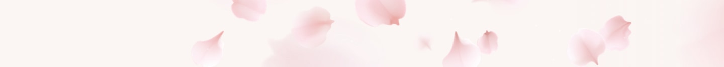 Downloads banner